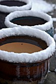 POTS WITH SNOW