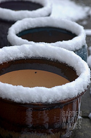 POTS_WITH_SNOW