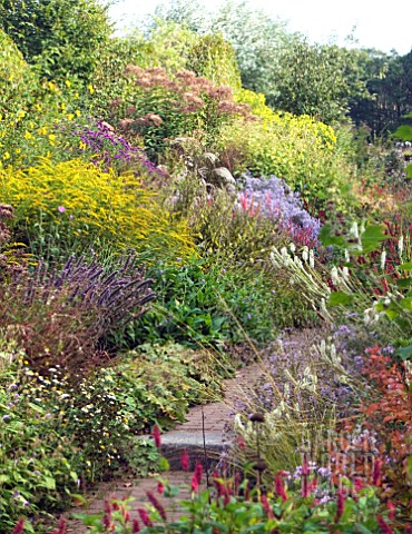 HERBACEOUS_BORDER_LATE_SUMMER