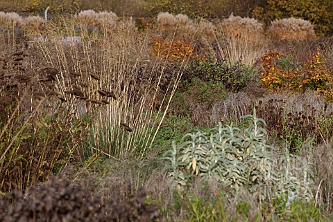 AUTUMN_PLANTING_AT_RHS_WISLEY