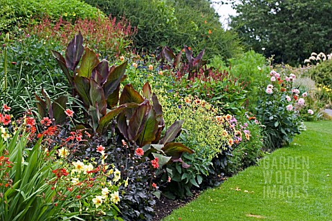 MIXED_LATE_SUMMER_BORDER_AT_DOROTHY_CLIVE_GARDEN__WILLOUGHBY