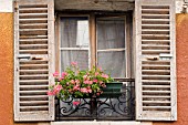 WINDOW WITH WINDOW BOX,  FRANCE,  AUGUST