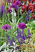 PURPLE MIXED BORDER WITH BUTTERFLY,  JUNE