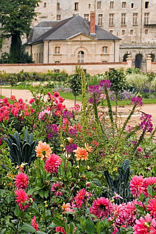DAHLIAS_IN_MIXED_BORDER_AT_ROCHE_GOYAN__FRANCE__AUGUST