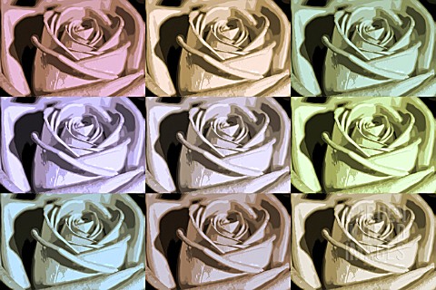 ABSTRACT_ROSES_IN_SOFT_PASTEL_SHADES