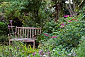 COTTAGE GARDEN VIEW WITH BENCH,  SEPTEMBER