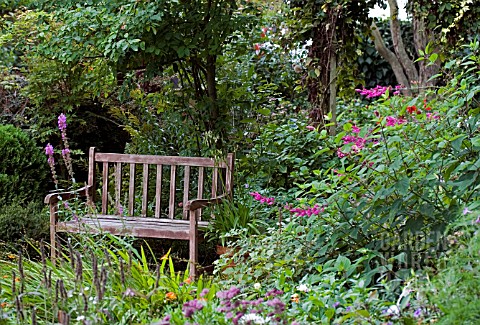 COTTAGE_GARDEN_VIEW_WITH_BENCH__SEPTEMBER
