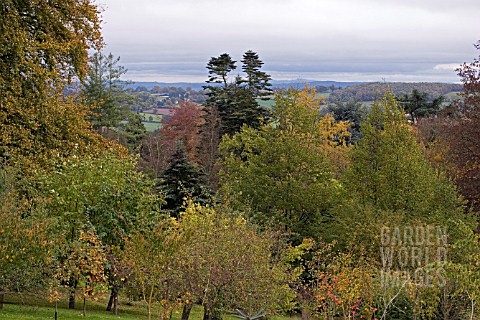 VIEW_FROM_THE_TOP_OF_THE_HILL_AT_HERGEST_CROFT_GARDEN__HEREFORDSHIRE__OCTOBER