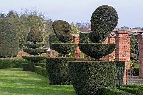 TOPIARY_AT_FELLEY_PRIORY__NOTTINGHAM