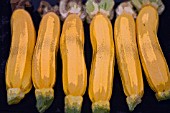 YELLOW COURGETTES MANIPULATED
