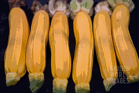 YELLOW_COURGETTES_MANIPULATED