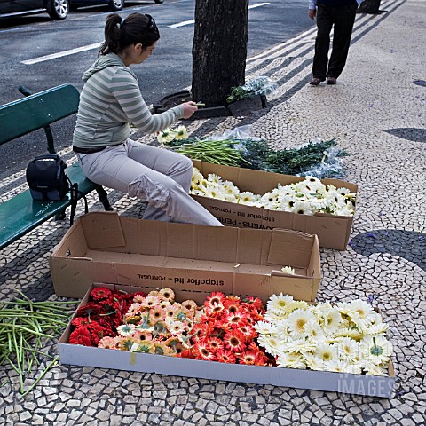 PREPARING_FLOWERS_TO_DECORATE_THE_STREETS_OF_FUNCHAL_FOR_THE_FESTA_DES_FLORES_2008_MADEIRA