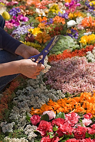 DECORATING_THE_STREETS_OF_FUNCHAL_FOR_THE_FESTA_DES_FLORES_2008_MADEIRA