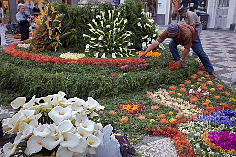 LINING_THE_PAVEMENTS_WITH_FLOWERS_DURING_THE_FESTA_DES_FLORES_MADEIRA_2008