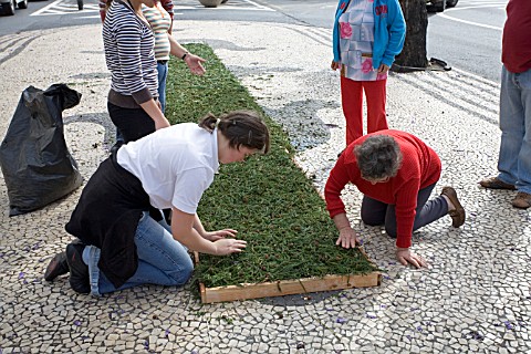 PREPARING_THE_FLOWERS_TO_LINE_THE_STREETS_FOR_THE_FESTA_DES_FLORES_FUNCHAL_MADEIRA