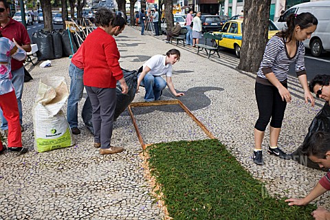 PREPARING_THE_FLOWERS_TO_LINE_THE_STREETS_FOR_THE_FESTA_DES_FLORES_FUNCHAL_MADEIRA