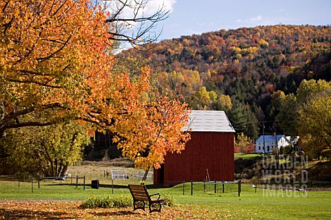 FALL_COLOURS_IN_RICHMOND_VERMONT_USA_OCTOBER