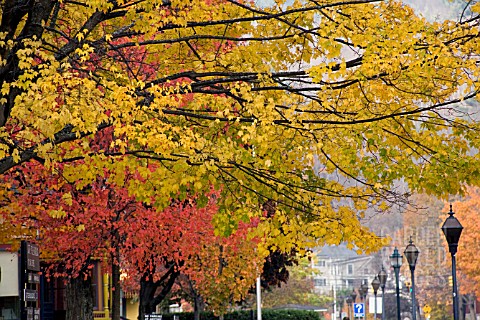 FALL_COLOURS_IN_MONTPELIER_VERMONT_OCTOBER