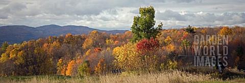 FALL_COLOURS_IN_VERMONT