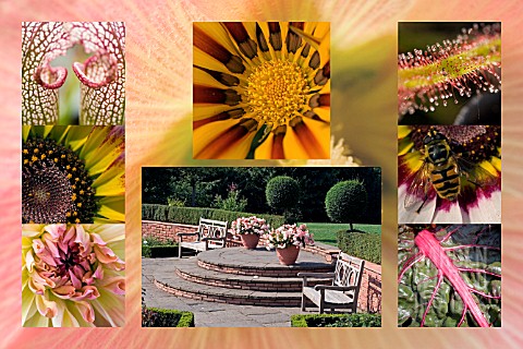 SUMMER_VIEW_OF_TERRACE_BIRMINGHAM_BOTANICAL_GARDENS_AND_GLASSHOUSES