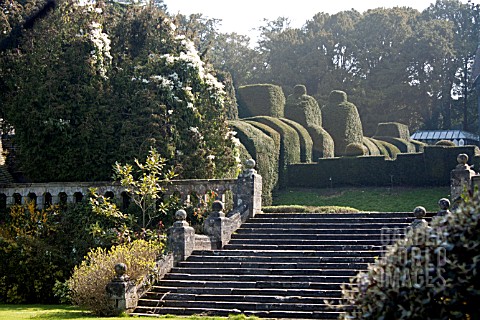 FRONT_GARDENS_WITH_TOPIARY_BLOSSOM_TRAIL_WORCESTERSHIRE