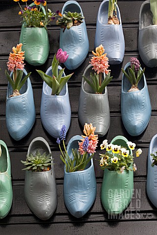 TULIPS_HYACINTHS_AND_VIOLETS_IN_CLOGS_AT_KEUKENHOF_GARDENS
