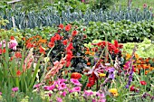 MIXED FLOWER AND VEGETABLE COUNTRY GARDEN