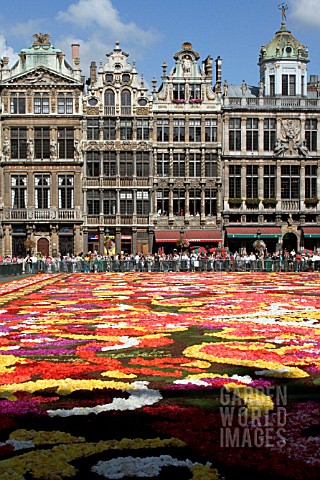 FLOWER_CARPET_BRUSSELS_GRAND_PLACE_2008