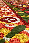 DETAIL OF FLOWER CARPET, BRUSSELS, GRAND PLACE, 2008
