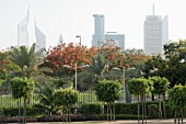 ZABEEL PARK IN DUBAI