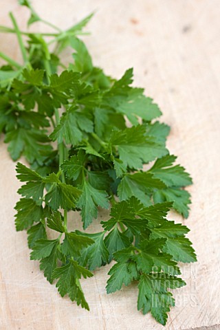 PARSLEY_FRENCH
