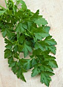 PARSLEY FRENCH