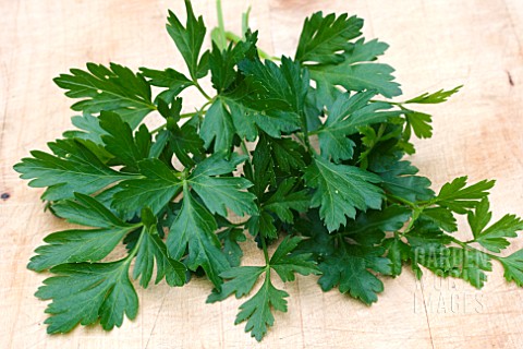 FRENCH_PARSLEY