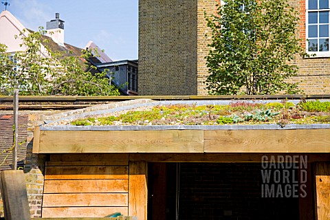 LITTLE_GREEN_ROOF_AT_THE_CHELSEA_PHYSIC_GARDEN