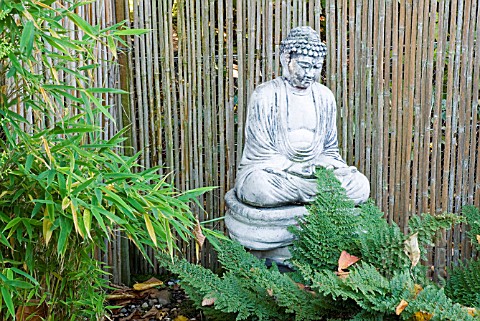 FERNS_AND_BAMBOO_WITH_BUDDHA_STATUE