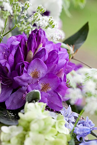 SPRING_BOUQUET_IN_SILVER_VASE_DETAIL_WITH_RHODODENDRON