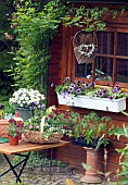 SUMMER PLANTING - CONTAINER PLANTING