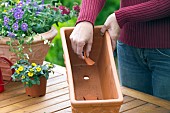 ADDING CROCK - CONTAINER PLANTING