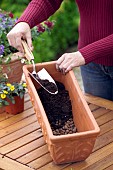 ADDING COMPOST - CONTAINER PLANTING