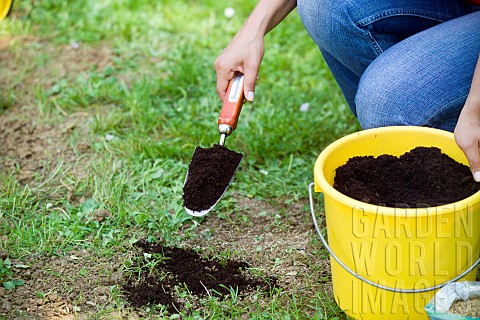 LAWN_CARE__COVERING_SEEDS_WITH_SOIL
