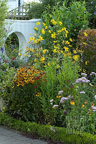 ACHILLEA_MIXED_HELENIUM_RED_ARMY_AND_HELIOPSIS
