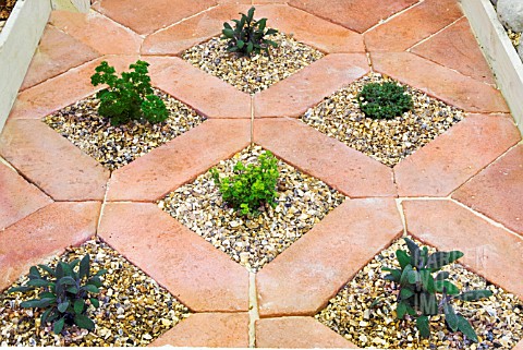 HERBS_PLANTED_IN_PAVING