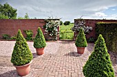 BRICK PATH WITH BUXUS TOPIARY IN CONTAINERS AT WOLLERTON OLD HALL