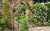 ARCHED GATEWAY IN WALLED GARDEN WITH ROSA ALCHYMIST AT WOLLERTON OLD HALL