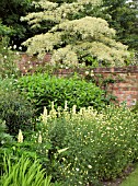 PLANTING COMBINATION COLOUR THEMED AT WOLLERTON OLD HALL