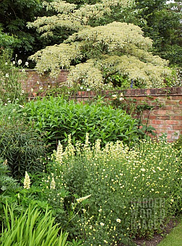 PLANTING_COMBINATION_COLOUR_THEMED_AT_WOLLERTON_OLD_HALL