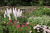 BORDER OF ACHILLEA, PENSTEMON AND DELPHINIUMS AT WOLLERTON OLD HALL