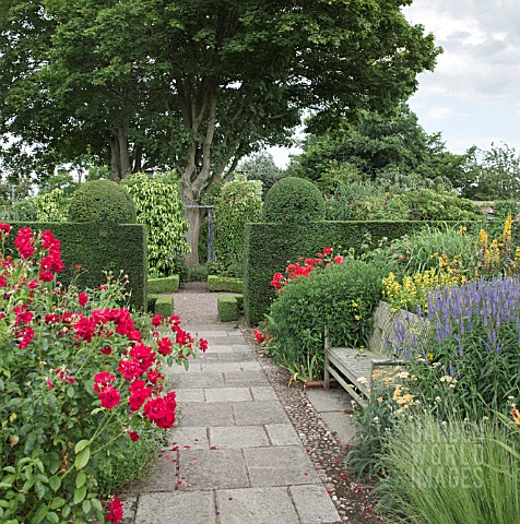 BORDERS_OF_HERBACEOUS_PERENNIALS_CLIPPED_HEDGES_PATHWAYS_BENCHES_AND_MATURE_TREES_AT_WOLLERTON_OLD_H