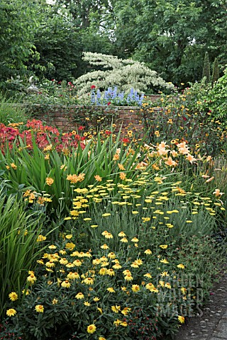 HERBACEOUS_PERENNIALS_WITH_ACHILLEA_CORONATION_GOLD_AT_WOLLERTON_OLD_HALL
