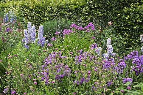 HERBACEOUS_BORDER_OF_BLUES_AND_PURPLES_AT_WOLLERTON_OLD_HALL